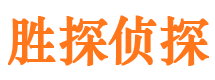 冷湖调查公司